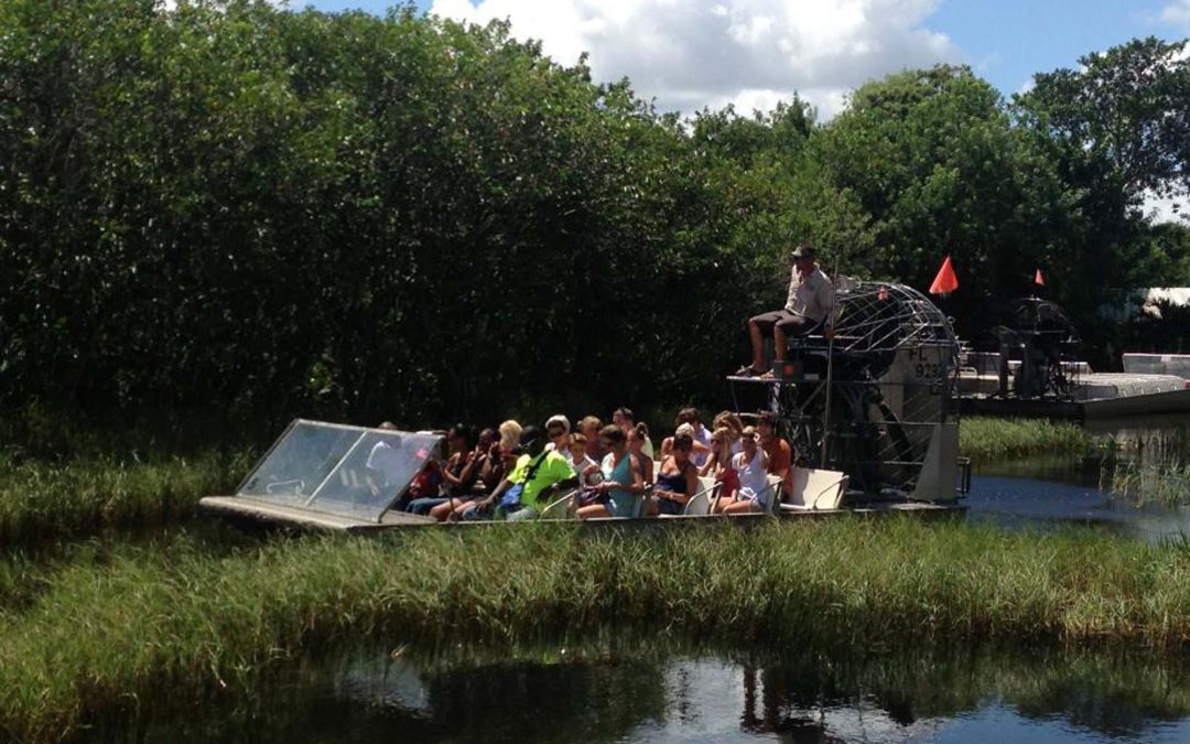 Experience the Everglades: Top Reasons to Visit in Winter vs. Summer