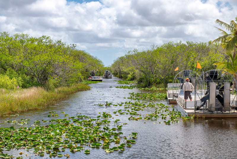 A photo of the everglades