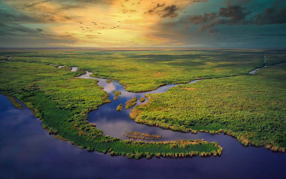 Everglades Unveiled: Top Questions Answered by Wide Angle Tours