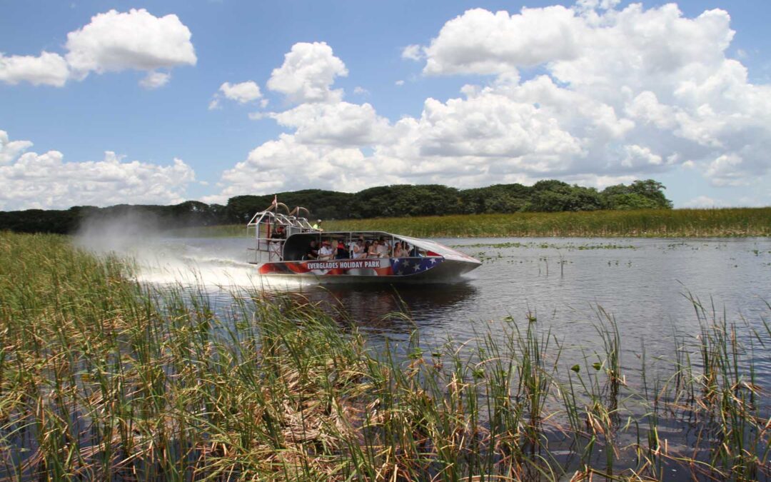 Why an Everglades Airboat Tour is a Must-Do on Your Miami Vacation