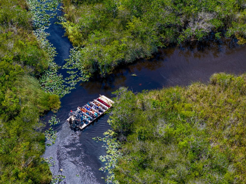 Airboat,Ride,In,Miami,Through,Everglades Everglades tour from Miami - Wide Angle Tours
