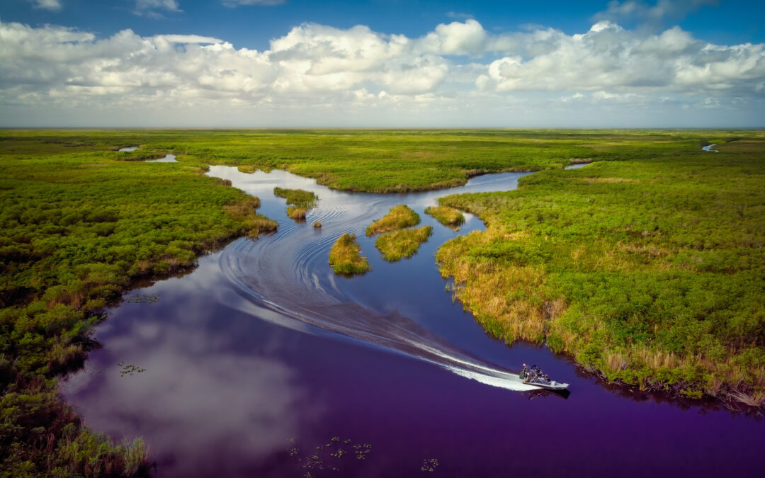 What to Expect on an Everglades Airboat Tour: A First-Timer’s Guide